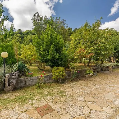 Casa vacanze Casa Dora - Zero Neighbors, Stellar Starlink Wi-fi *